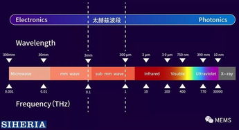 矽赫科技 以太赫茲底層技術為基，開拓智能光電新藍海